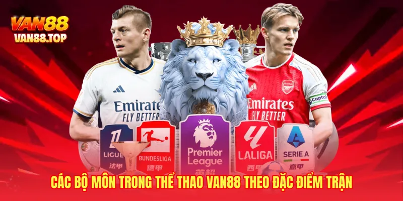 Các bộ môn trong thể thao VAN88 theo đặc điểm trận